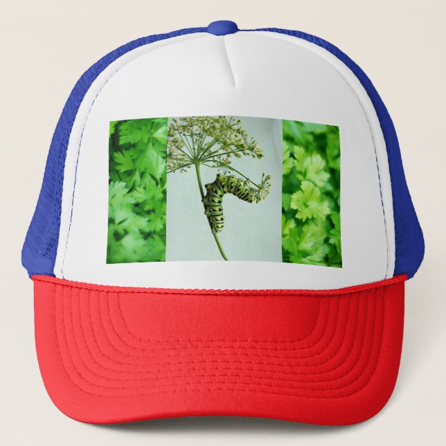 Black Swallowtail Eating Parsley  Trucker Hat (Front)