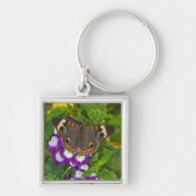 Black Swallowtail Keychain (Front)