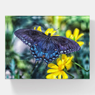 Black Swallowtail on yellow flowers Paperweight