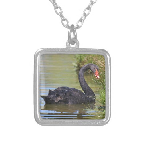 Black swam on water silver plated necklace