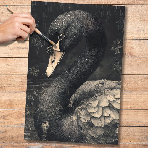 Black Swan 2 Decoupage Paper