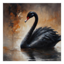 Black Swan 3