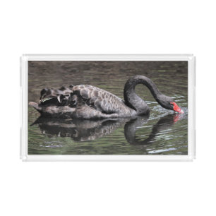 Black Swan Acrylic Tray