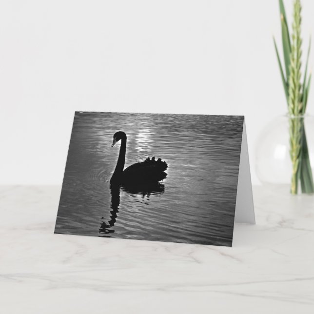 Black Swan - Australian Native Animal Card (Front)