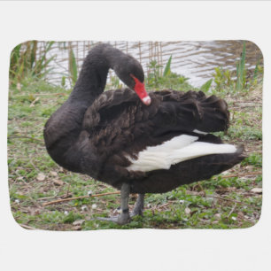 Black Swan Baby Blanket
