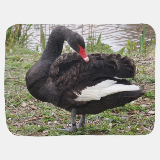 Black Swan Baby Blanket (Horizontal)