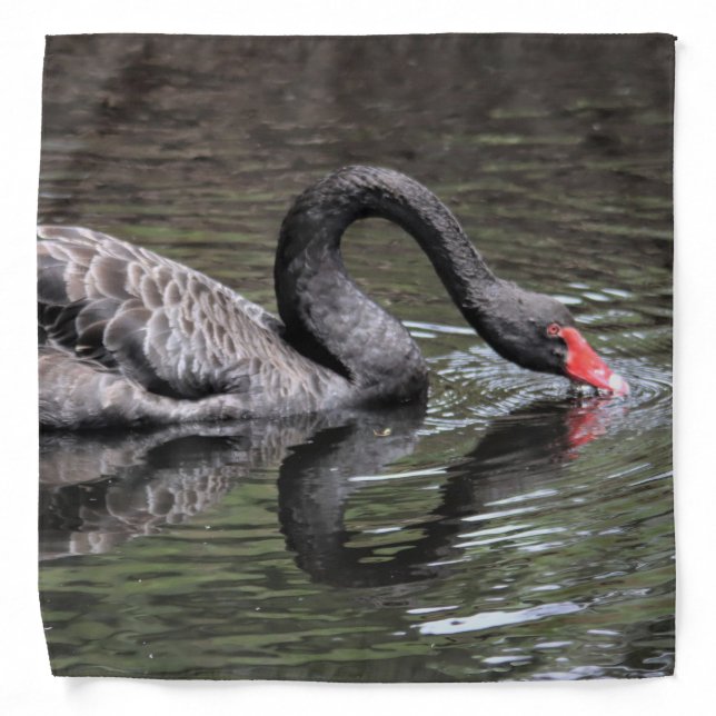 Black Swan Bandana (Front)