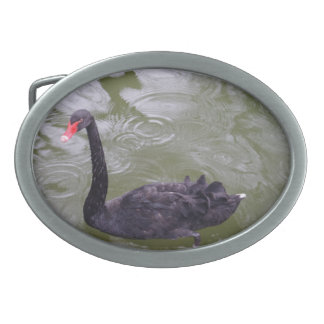 Black Swan Belt Buckle