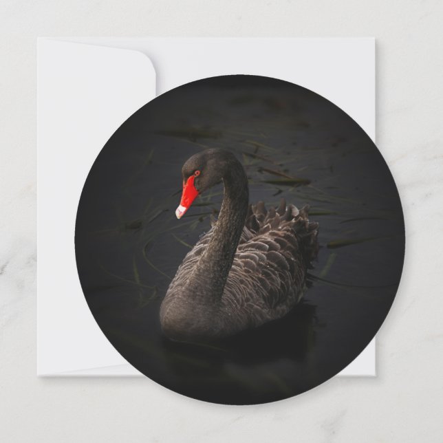 Black Swan Bridal Shower Invitation (Back)