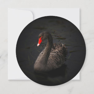 Black Swan Bridal Shower Invitation