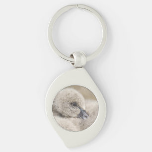 Black Swan Cygnet Keychain