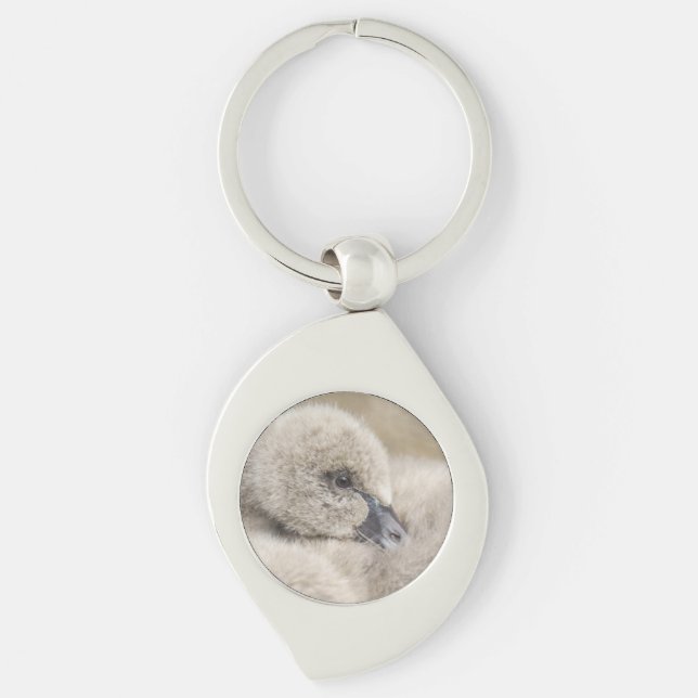 Black Swan Cygnet Keychain (Front)