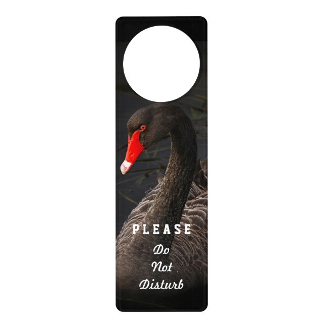 Black Swan Do Not Disturb Door Hanger (Front)