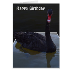 Black Swan Droplets In Pond, Birthday Card