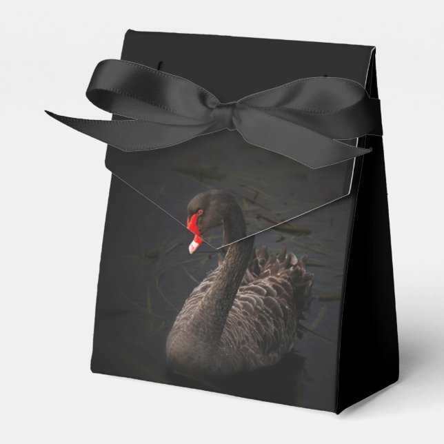 Black Swan Favor Boxes (Front Side)