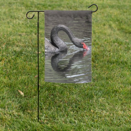 Black Swan Garden Flag