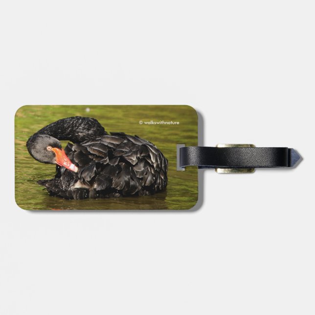 Black Swan in the Pond Luggage Tag (Back Horizontal)
