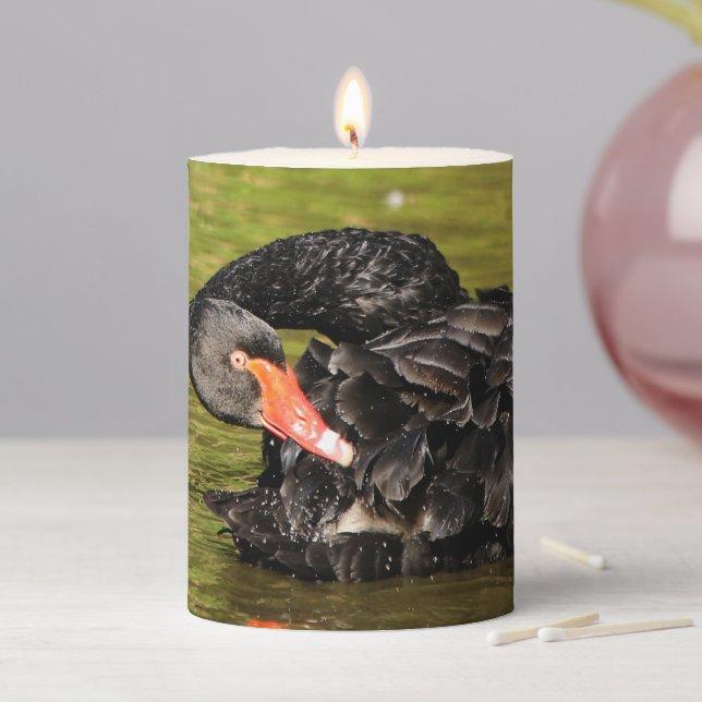 Black Swan in the Pond Pillar Candle (In Situ)