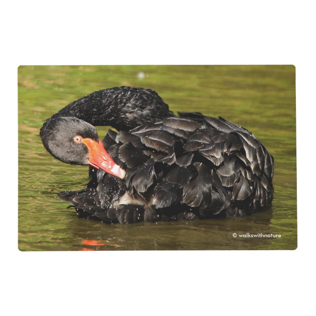 Black Swan in the Pond Placemat (Back)