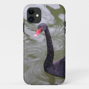 Black Swan iPhone 5/5S, Barely There 11 Case