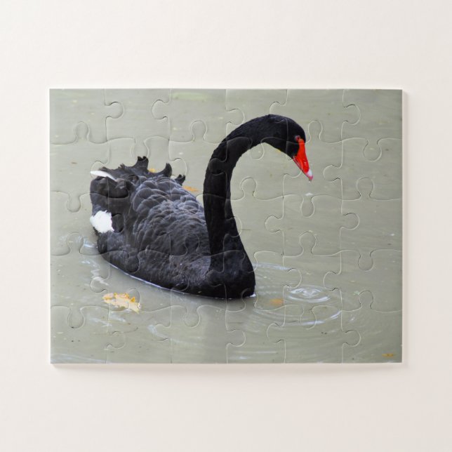 Black swan jigsaw puzzle (Horizontal)