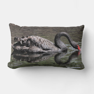 Black Swan Lumbar Pillow