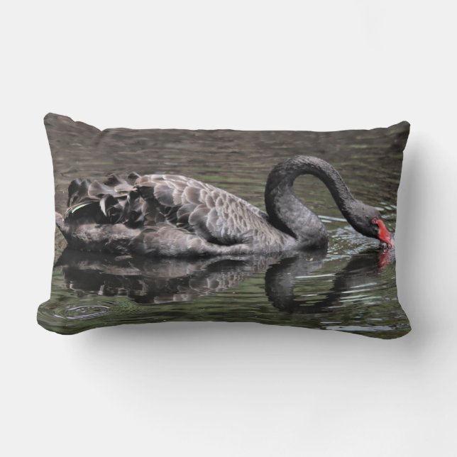 Black Swan Lumbar Pillow (Front)