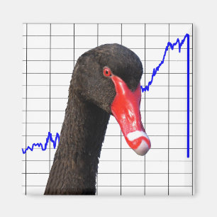 Black Swan Market Crash Magnet