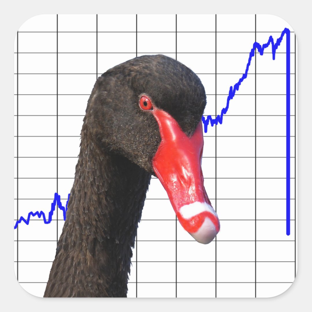 Black Swan Market Crash Square Sticker Zazzle