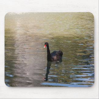 black swan mouse pad