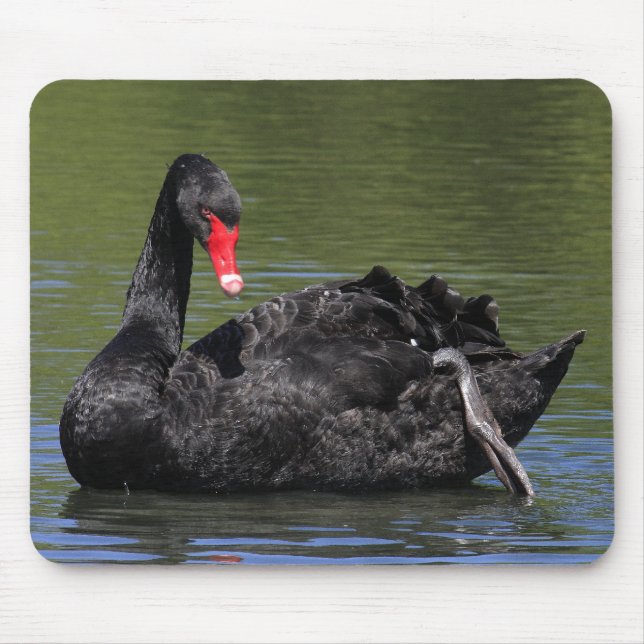 Black Swan Mouse Pad (Front)