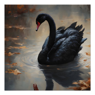 Black Swan no 8 Poster