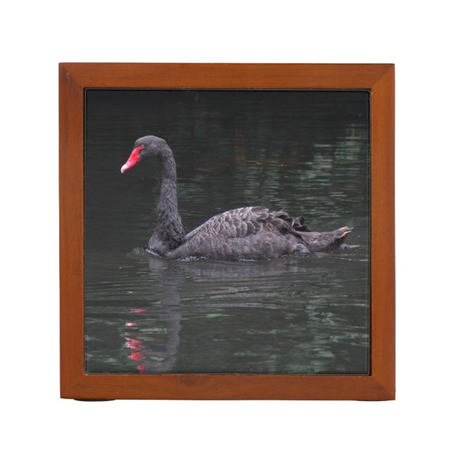Black Swan Pencil Holder (Front)