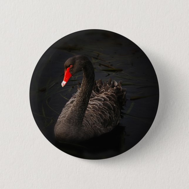 Black Swan Pinback Button (Front)