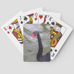 Black Swan Poker Playing Cards