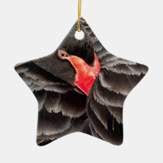 Black swan resting ceramic ornament (Front)
