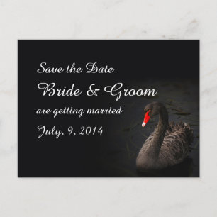 Black Swan Save the Date Postcard