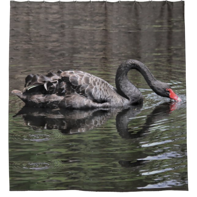 Black Swan Shower Curtain (Front)