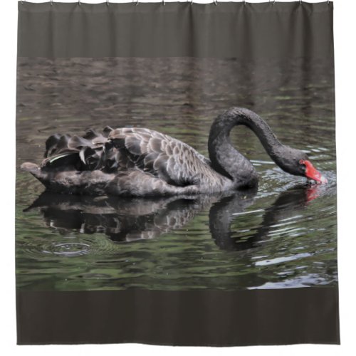 Black Swan Shower Curtain