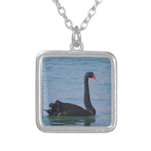 Black Swan Silver Plated Necklace