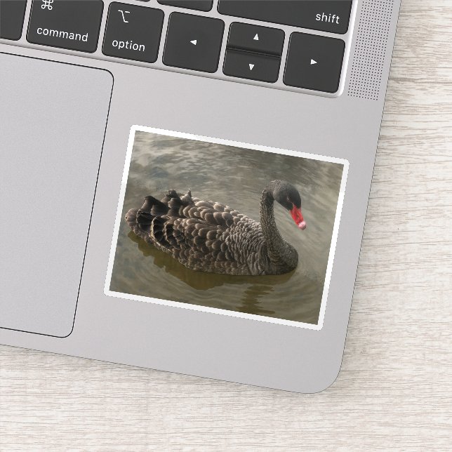 Black Swan Sticker (Detail)