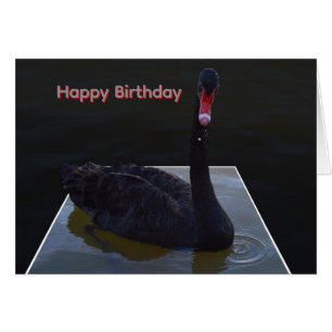Black Swan Swimming In Dimensional Pond, Cards