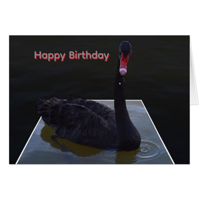 Black Swan Swimming In Dimensional Pond, Cards (Front Horizontal)