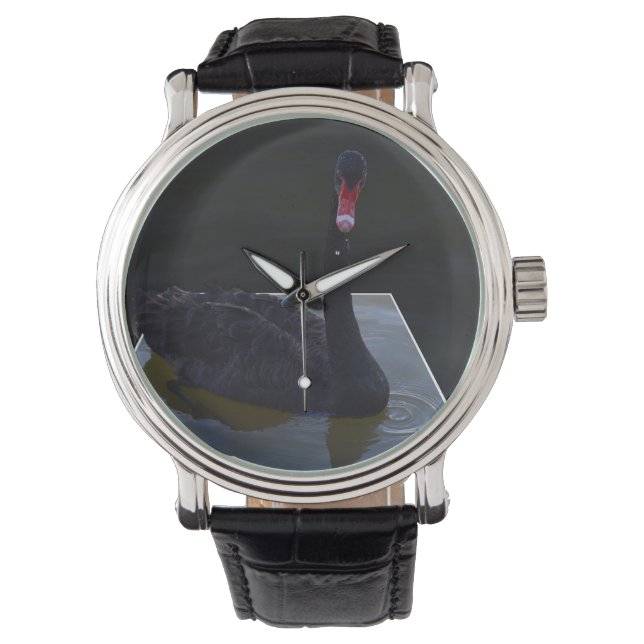 Black Swan Swimming In Dimensional Pond, Watch (Front)