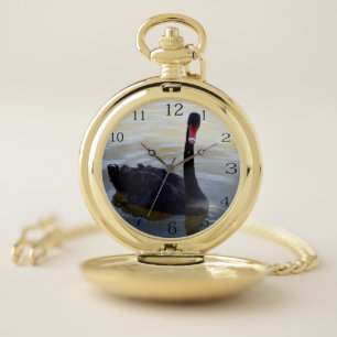 Black Swan Swimming On The River, Pocket Watch