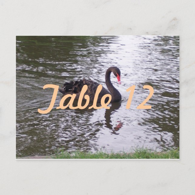 Black Swan Table Number (Front)