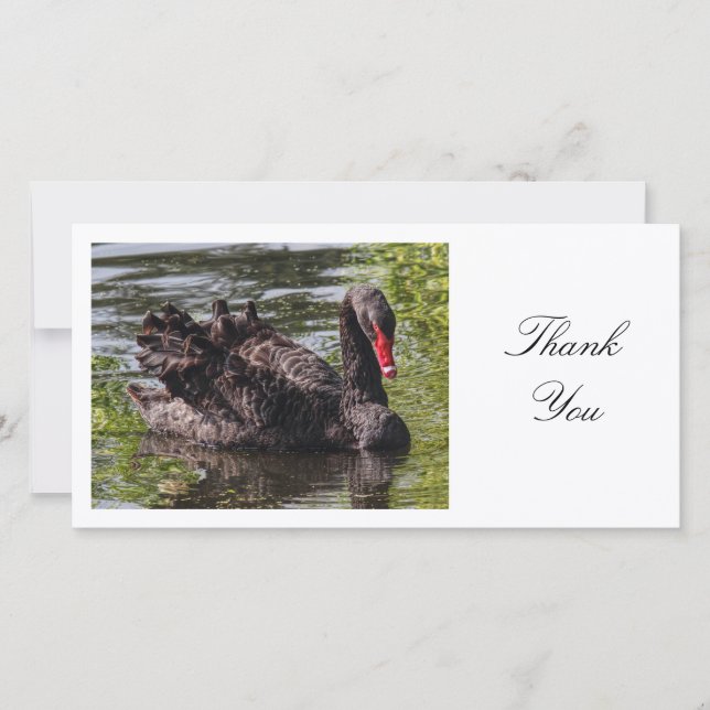 Black Swan - Thank You Card (Front)