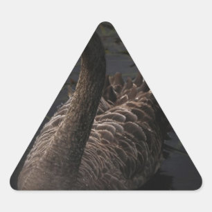 Black Swan Triangle Sticker
