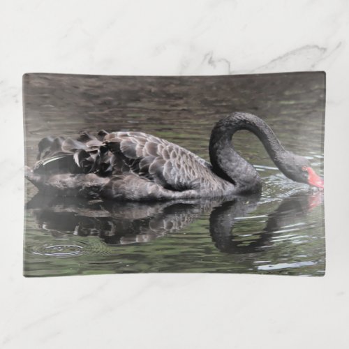 Black Swan Trinket Tray