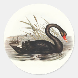 Black Swan Vintage Classic Round Sticker